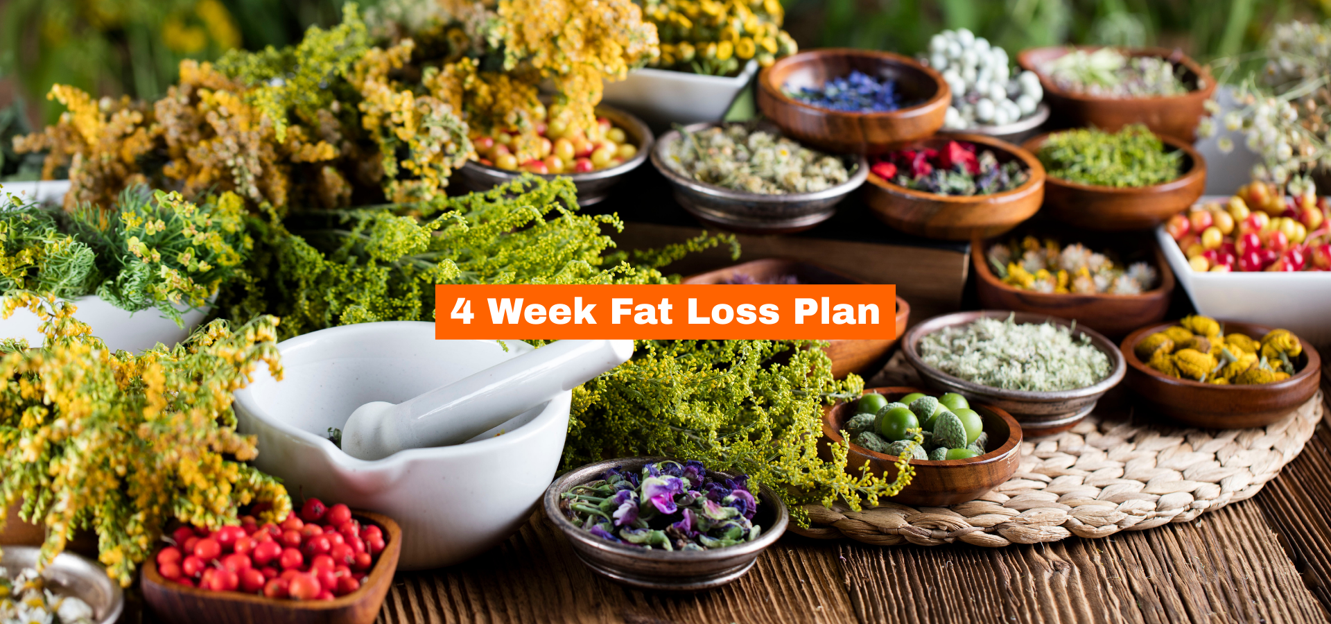 Main banners 1920x900 - Shitija